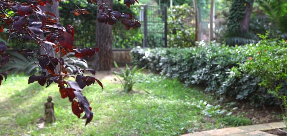 B&B Viale Dei Pini Castellaneta Marina Zewnętrze zdjęcie