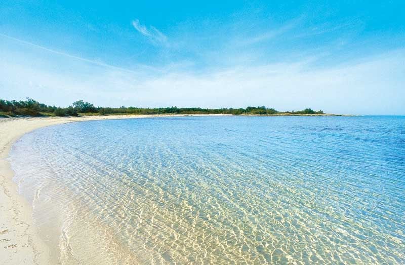 B&B Viale Dei Pini Castellaneta Marina Zewnętrze zdjęcie