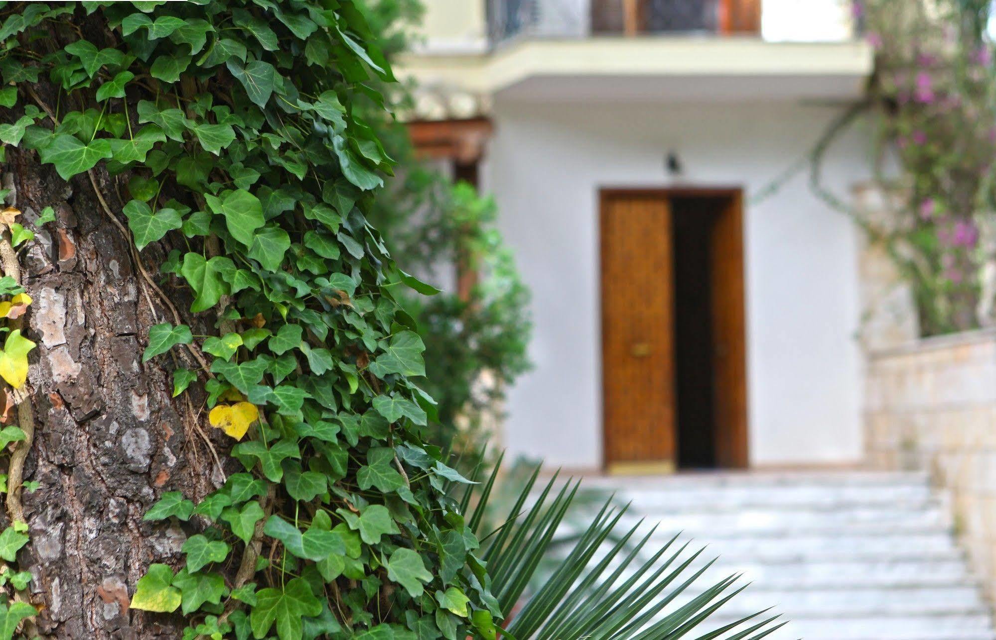 B&B Viale Dei Pini Castellaneta Marina Zewnętrze zdjęcie